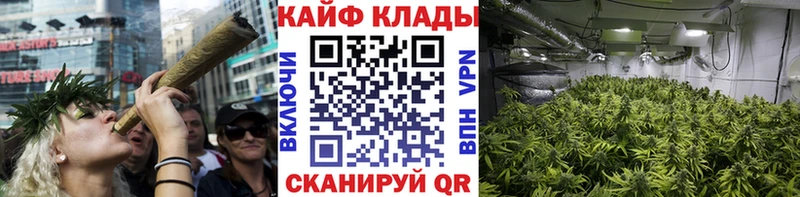 Наркошоп купить ГАШ  Конопля  Псилоцибиновые грибы  Меф  Починок