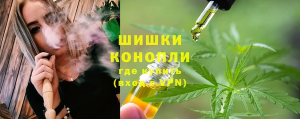 крисы Гусь-Хрустальный