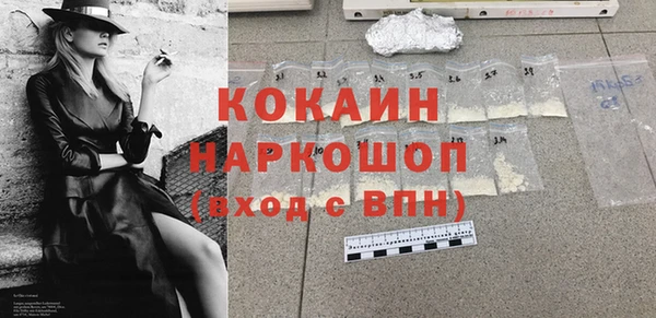 стаф Гусев