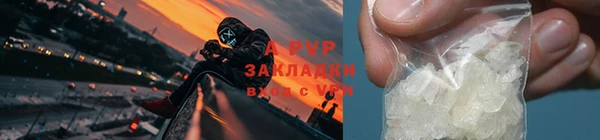 стаф Гусев