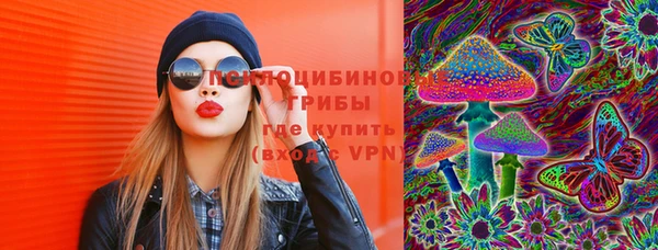хмурый Дмитриев