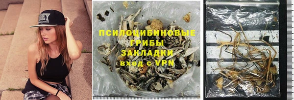 стаф Гусев