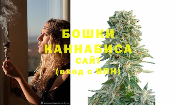 стаф Гусев