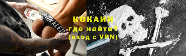 стаф Гусев